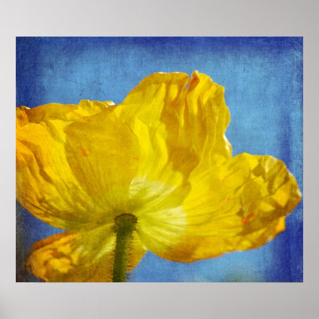 Poster Poppy Amarelo (Frente)