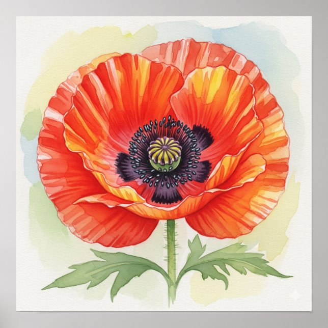 Poster Poppy com Aquarela (Frente)