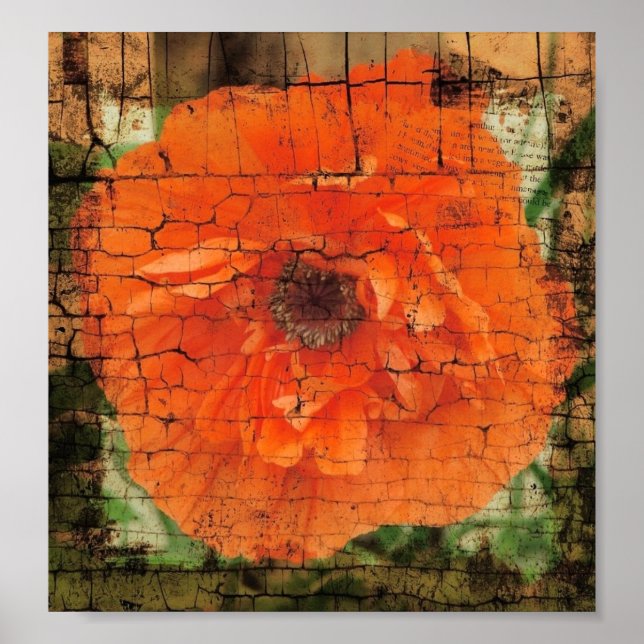 Poster Poppy Crackle (Frente)