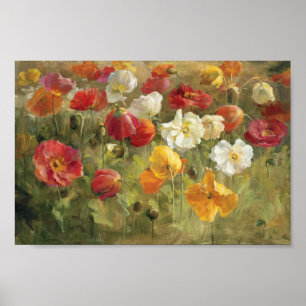 Poster Poppy Field