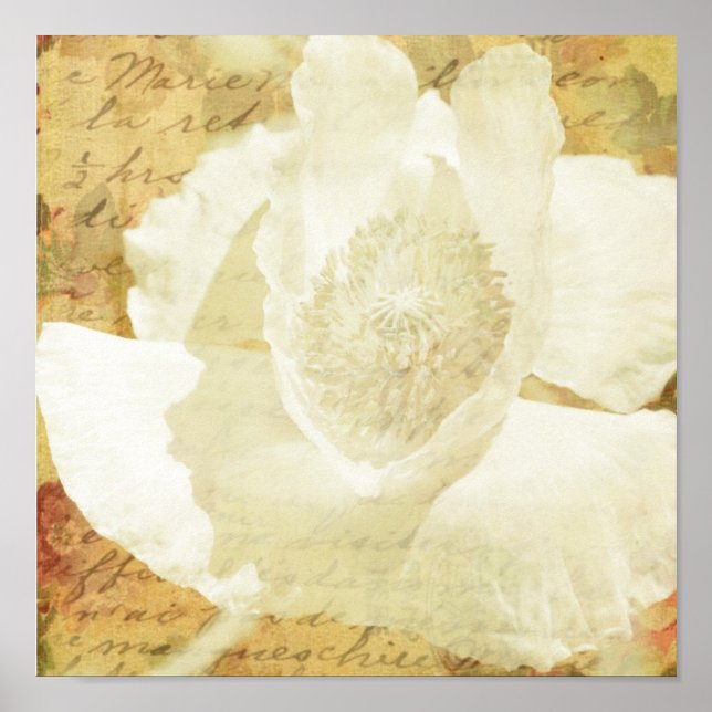 Pôster Poppy Marie (Frente)