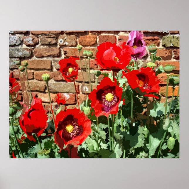 PÔSTER POPULAÇÕES 3 (Frente)