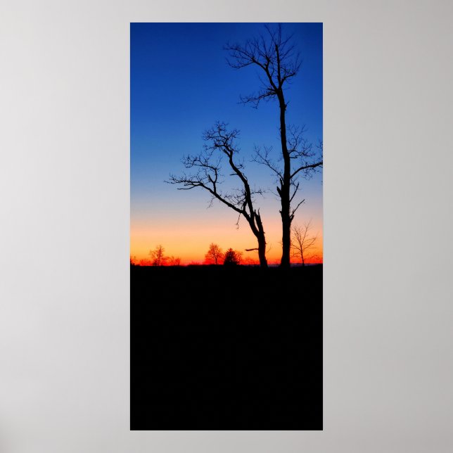 Poster Pôr do Sol Através das Árvores (Frente)
