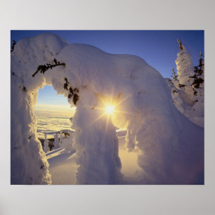Pôster Pôr do sol através dos Snowghosts em Big Mountain