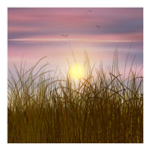 Pôr do sol Campo de Trigo Dourado Pintura a Óleo V