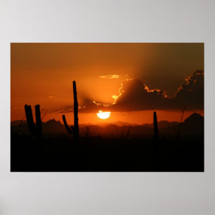 Pôster Por do sol da arizona