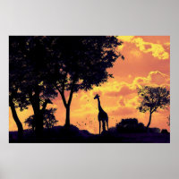 pôr do sol da girafa
