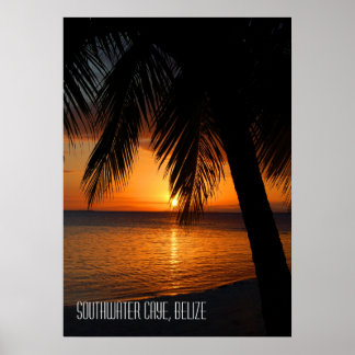 Poster Pôr do sol da palmeira tropical em Belize