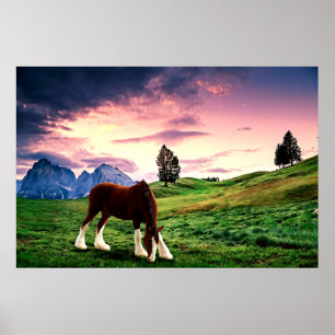 Poster Por do sol de Clydesdale