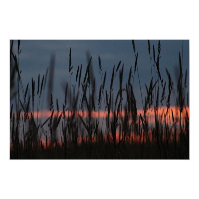 Pôster Pôr do sol de cultivo (Frente)