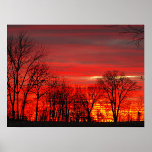 Poster Por do sol de janeiro