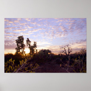 Poster Por do sol de Sonoran