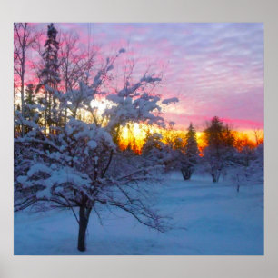 Poster Por do sol do inverno