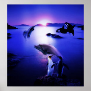 Poster Por do sol do oceano dos pinguins dos golfinhos