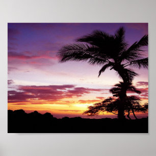 Pôster Por do sol havaiano
