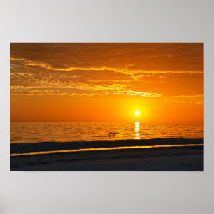 Poster Pôr do sol laranja na Flórida