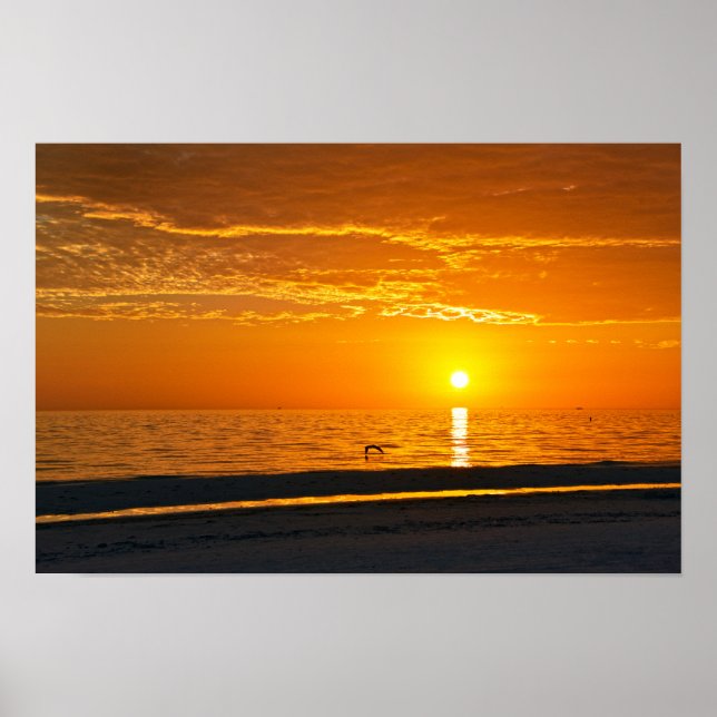 Poster Pôr do sol laranja na Flórida (Frente)