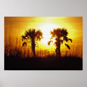 Poster Pôr do sol, N.A., EUA, Carolina do Sul, Charleston