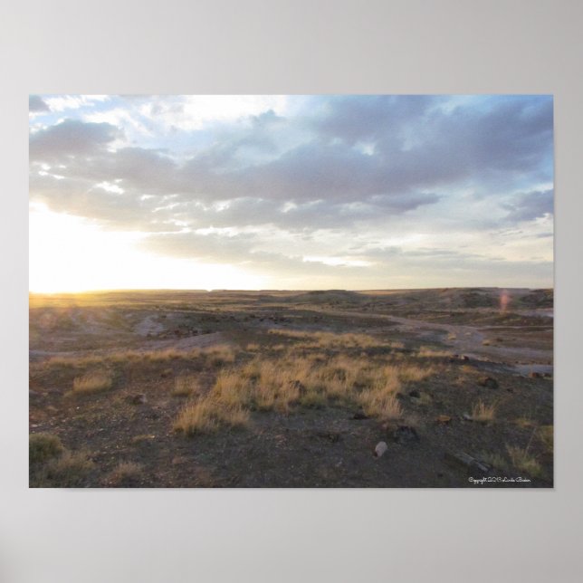 Poster Pôr do sol na floresta petrificada (Frente)