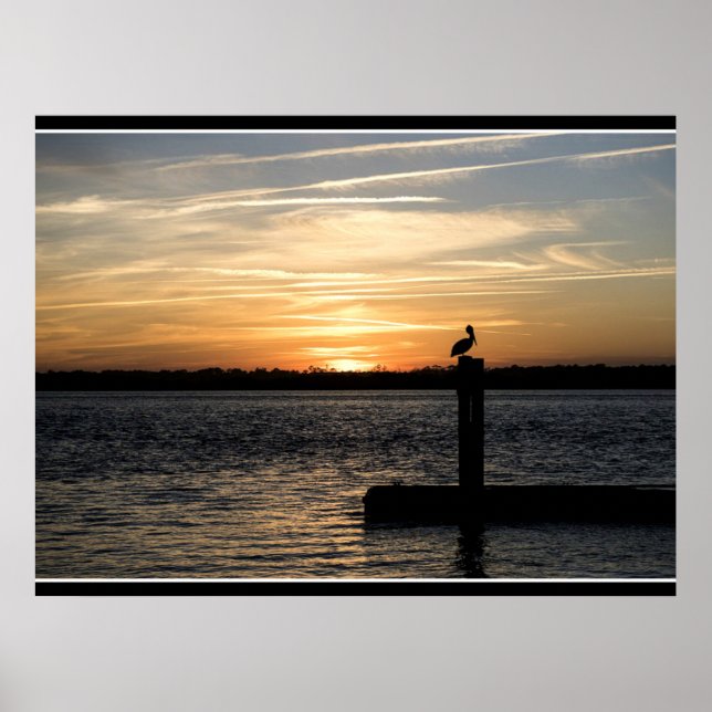 Poster Pôr do sol na Flórida com Pelicano (Frente)