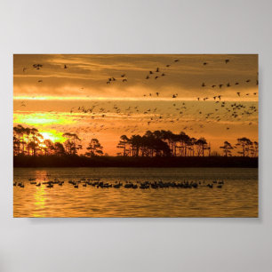Poster Por do sol na reserva natural Virgínia de
