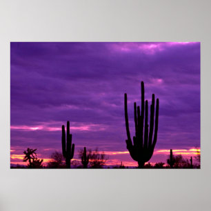 Pôster Por do sol, Scottsdale, arizona