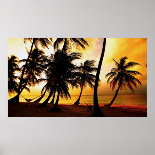Pôster Por do sol tropical
