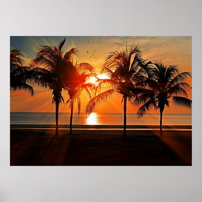 Poster Pôr do sol tropical (Frente)