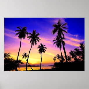 Pôster Por do sol tropical da ilha sobre Sri Lanka