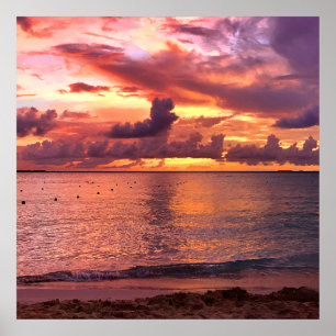 Poster Por do sol tropical da praia