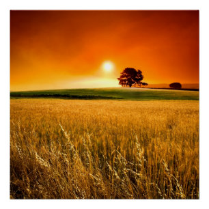 Pôster Por do sol vermelho-sangue