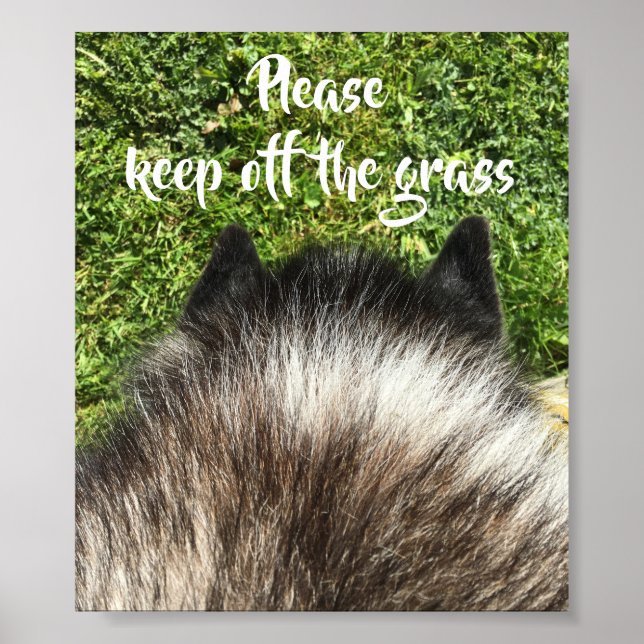 Poster Por favor, mantenha fora da placa de grama (Frente)