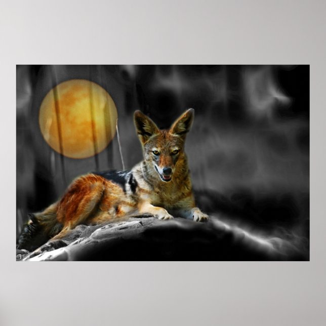 Poster Por Luz (Frente)