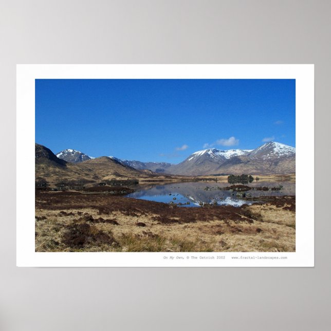 Pôster Por Minha Conta (Frente)