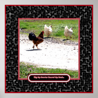 Poster Por que o galo cruzou a estrada