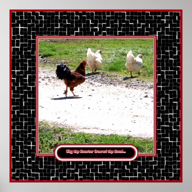 Poster Por que o galo cruzou a estrada (Frente)