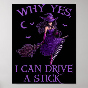 Poster Por Que Posso Dirigir um Pauzinho Engraçado Dia da
