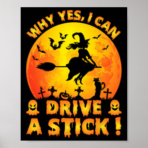 Poster Por Que Sim Posso Dirigir Um Halloween Engraçado?