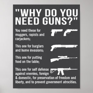 Poster Por Que Você Precisa de Armas