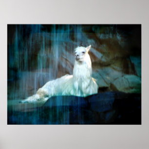 Poster Por trás das cataratas