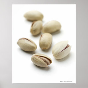 Pôster Porcas de Pistachio