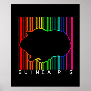 Poster Porco Colorido Fora da Guiné Animais de estima