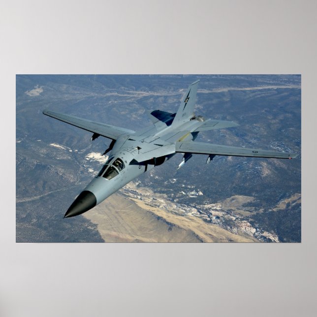 Poster Porco-da-terra F-111 (Frente)