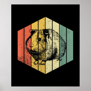Poster Porco-guineal Suíno-guincho