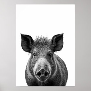 Poster Porco Javali Floresta Retrato Moderno preto branco