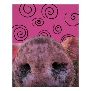 Pôster Porco Louco