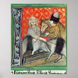 Poster Porcos e cavalos da criação de animais