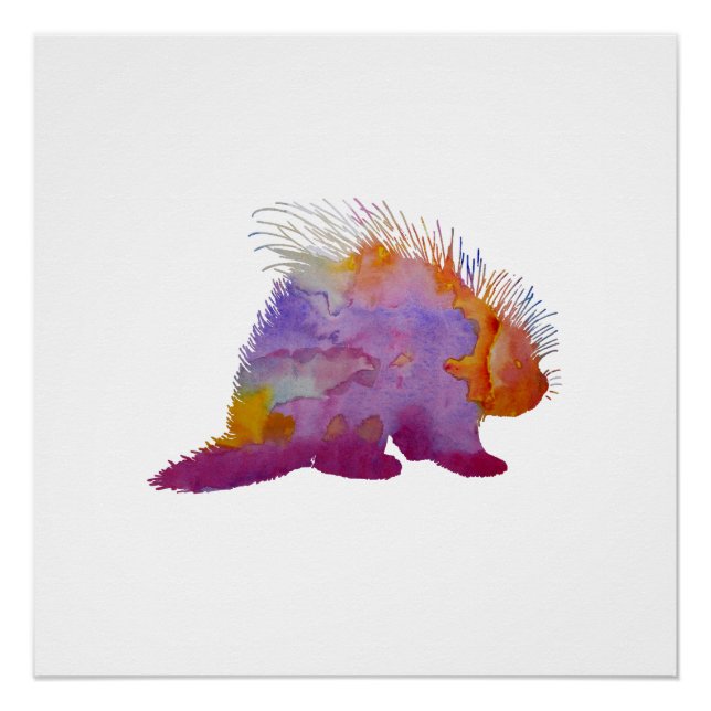 Pôster Porcupine (Frente)