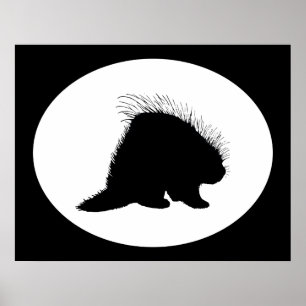 Pôster Porcupine