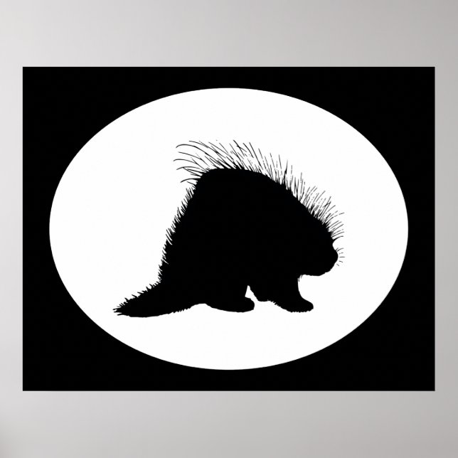 Pôster Porcupine (Frente)